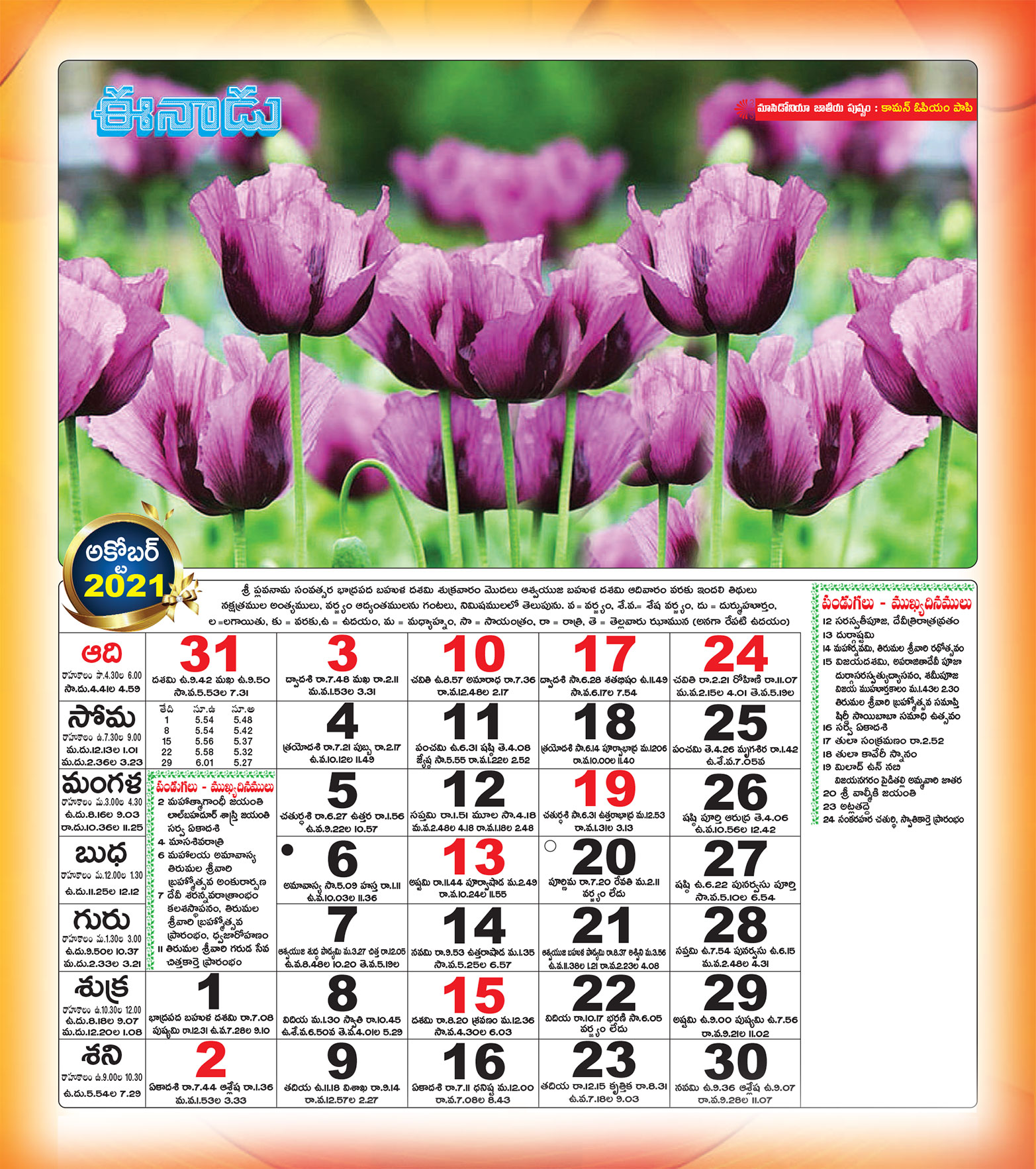 Eenadu Calendar 2022 Eenadu Telugu Calendar 2022 PDF Free Download