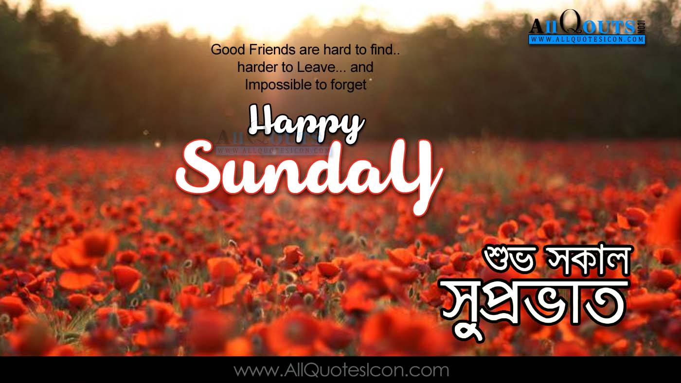 The Best And Most Comprehensive Sunday Good Morning Images In