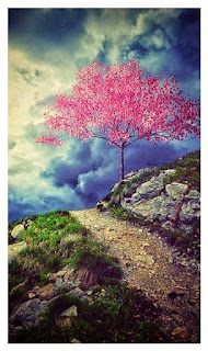 Find out why people with Alzheimer's wander and what you can do to keep them safe. | Alzheimer's Reading Room