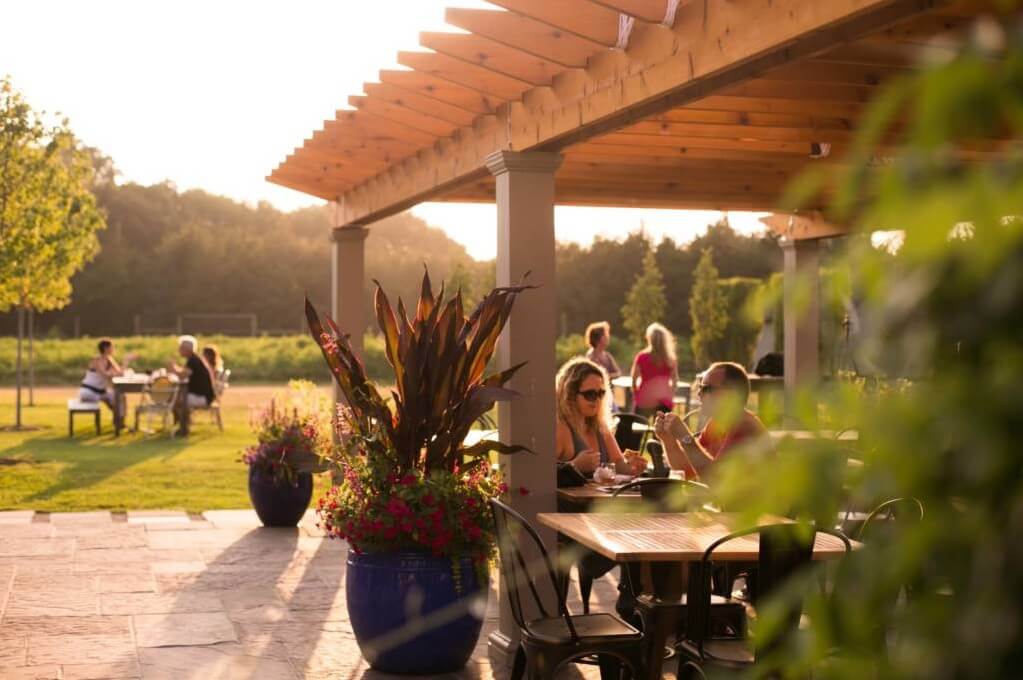 7 Most Beautiful Vineyards on Long Island (with Map & Photos)