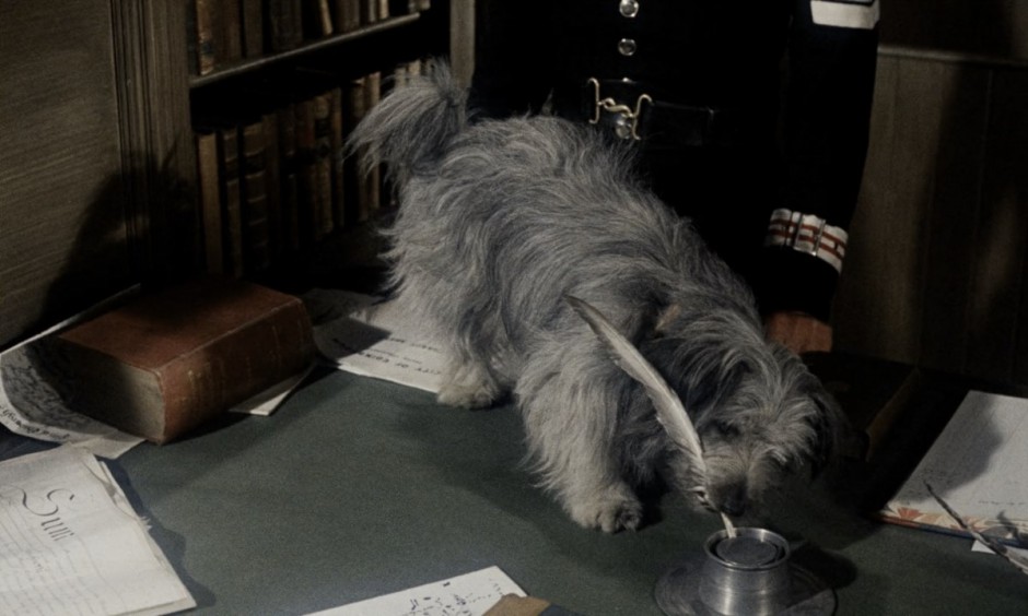 MEU LEAL COMPANHEIRO (LEGENDADO/1080P) – 1961 FormatFactoryMeu%2BLeal%2BCompanheiro%2B1961%2B1080p%2B%2528Legendado%2529.mp4_snapshot_01.22.02.005