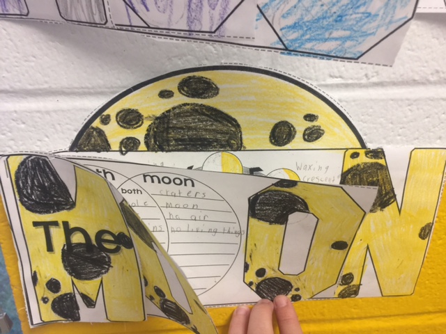 A Journey Through Third Grade