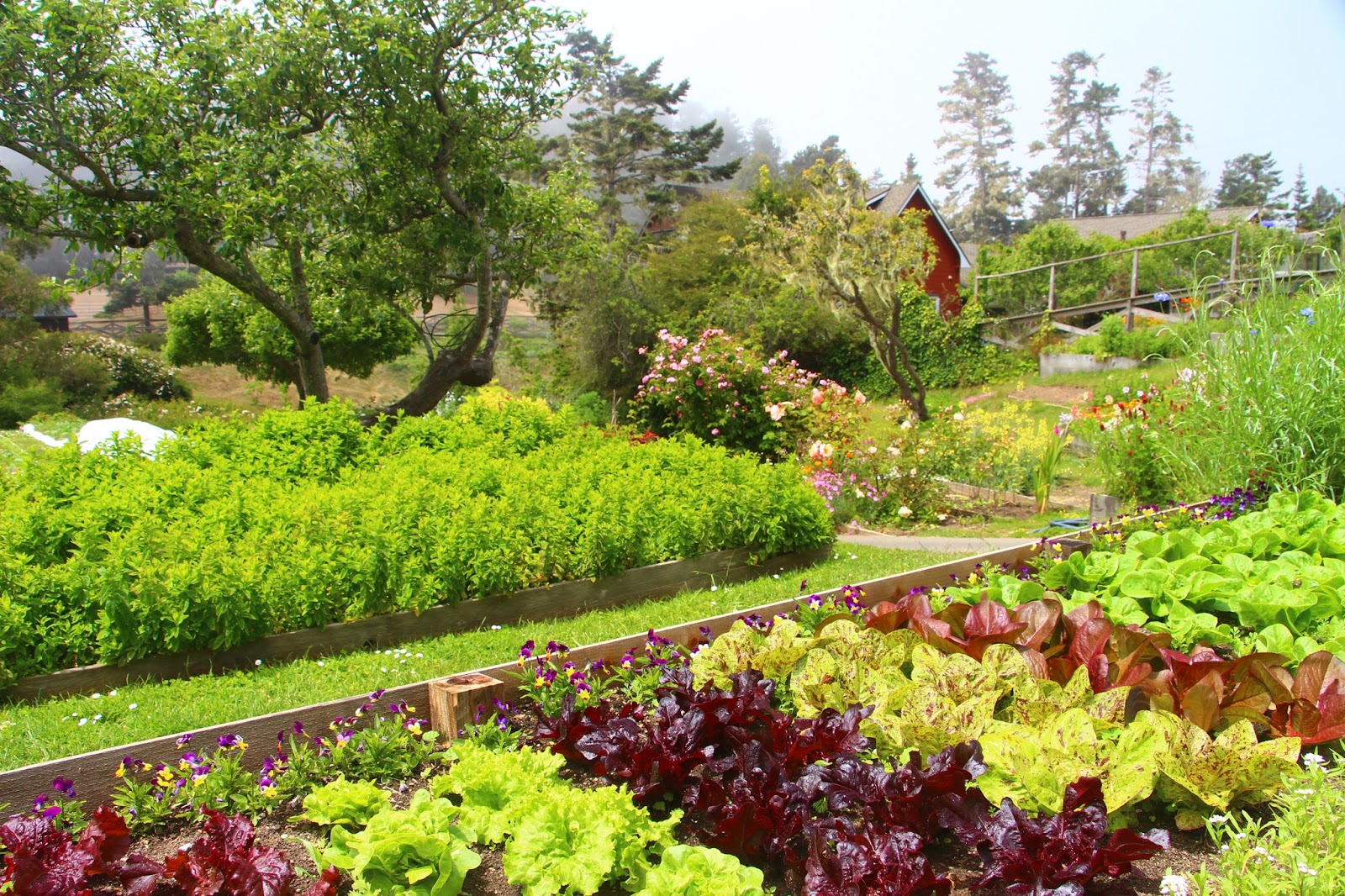 California Association of Boutique & Breakfast Inns Travel Blog Delicious Vegan BBQ and Other