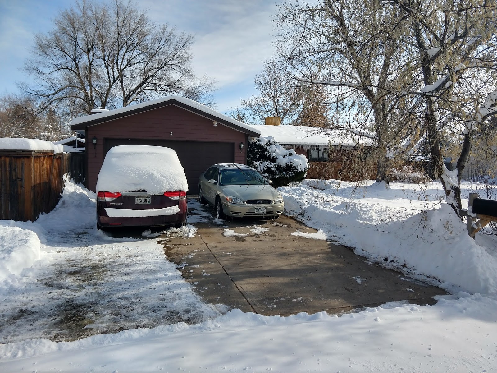 On the Fly Pet Sitting Fort Collins Pet and House Sitter Unlimited Pets