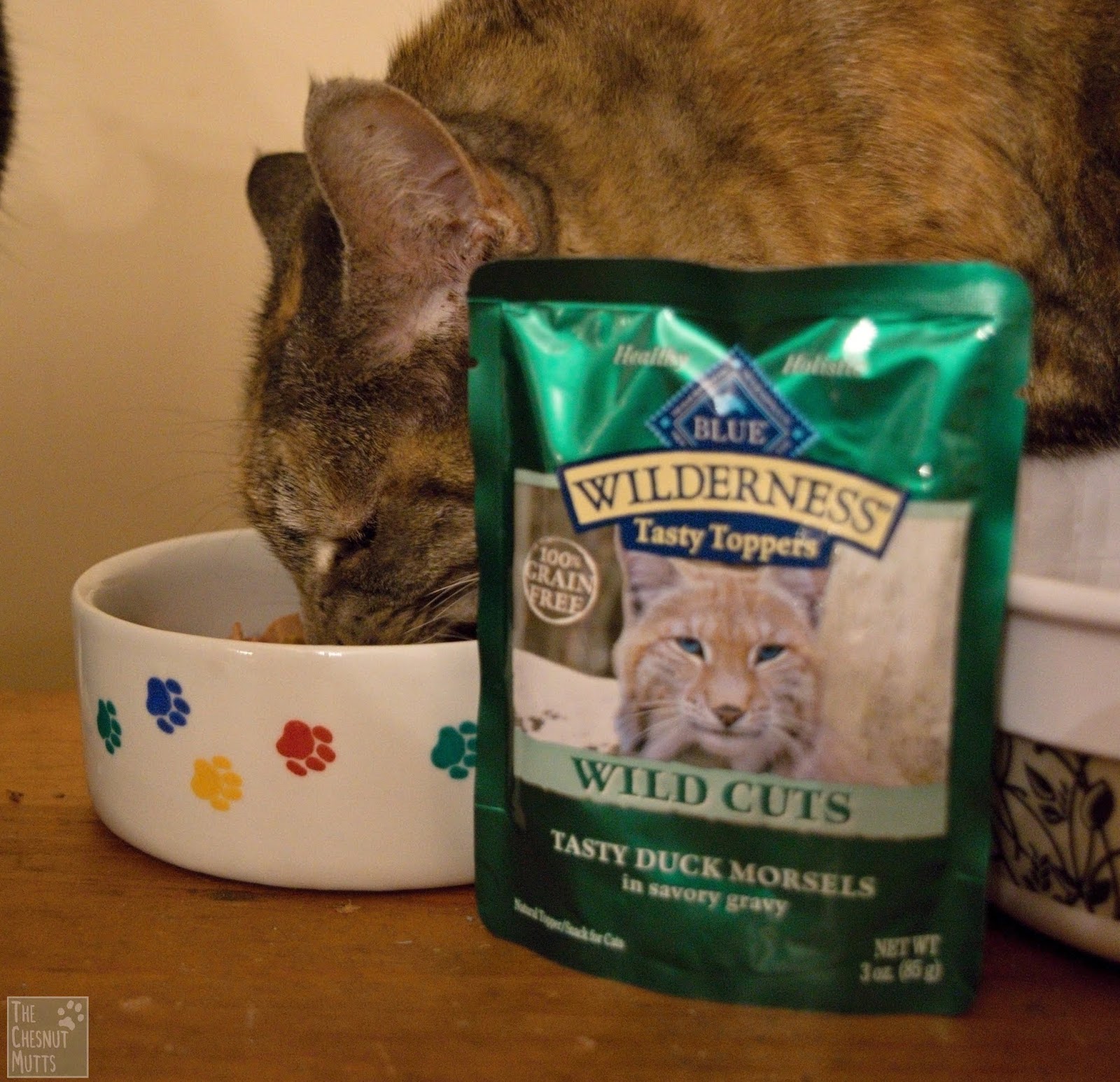 Mini Review Blue Buffalo Wilderness Tasty Toppers The Chesnut Mutts