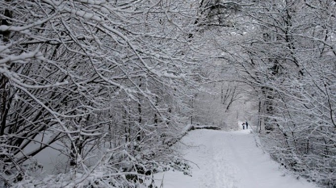 Καιρός – Αρναούτογλου: Έτσι θα εξελιχθεί η «Μήδεια» στην Αττική