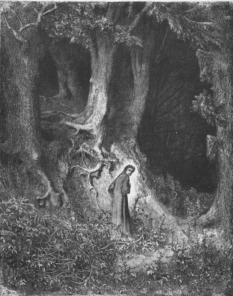 From the Narrow Desert: Dante in the wood
