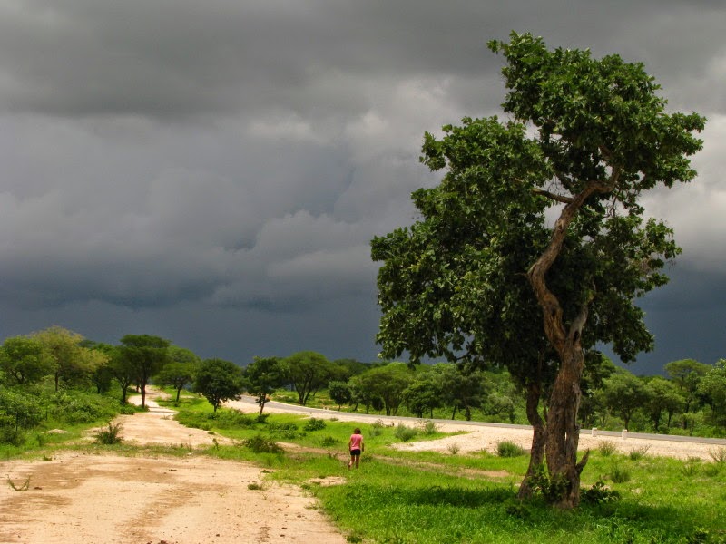 Kavango - donderwolke