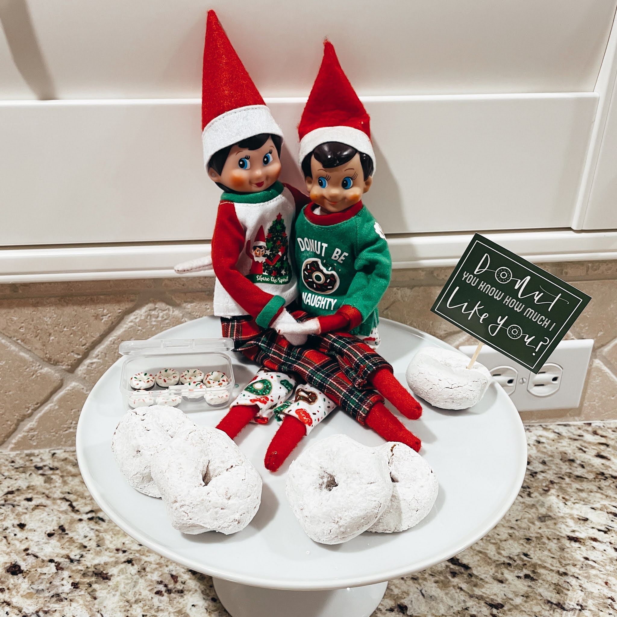 Easy & Fun Ideas For Elf On The Shelf - THE PATRICIOS
