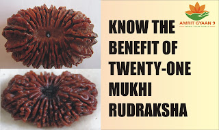 Know The Benefit Of Twenty One Mukhi Rudraksha