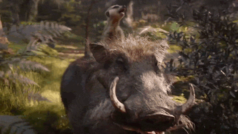 The Lion King Timbo and Pumbaa GIF by Walt Disney Studios