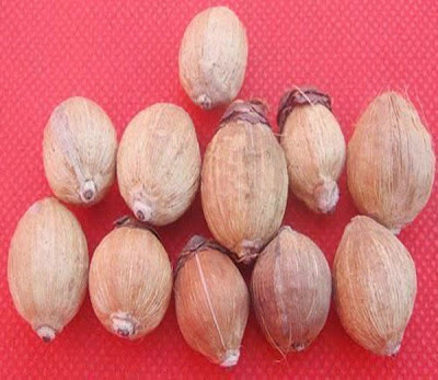 Jyotish upay of Gomati chakra, Kali haldi, Laghu nariyal, Dakshinavarti Shankh, Kamal Gatta, Hakik, Moti Shankh, Ekakshi nariyal in Hindi