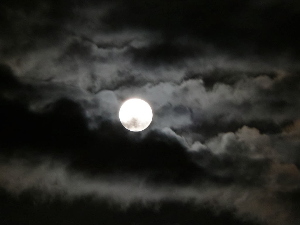 Creative and descriptive writing image