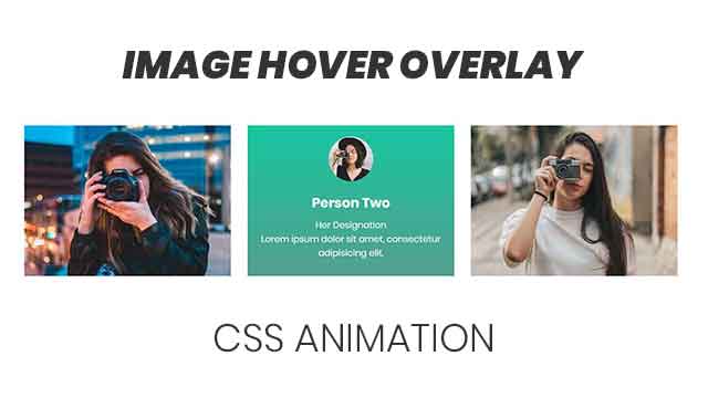 Team Section Design with CSS Hover Animation - Divinector