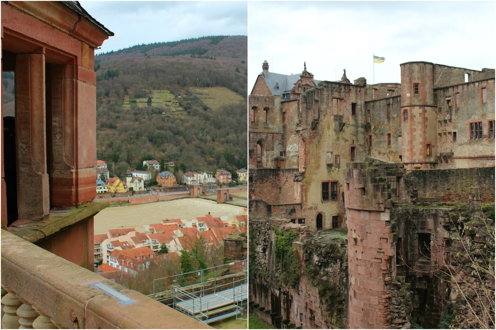 Heraldry Coats Of Arms At Heidelberg University