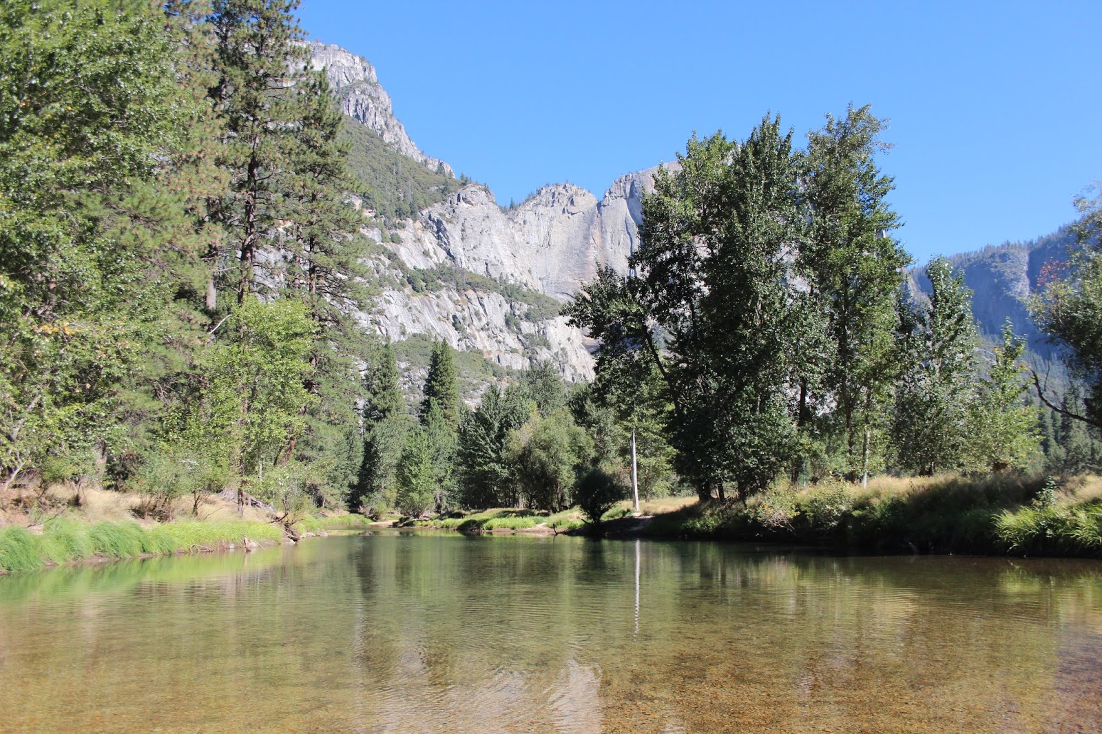 for a minute. Camping in Wawona + Yosemite Valley Visit