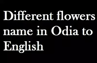 Flowers Name in Oriya | Different flowers name in Odia to English