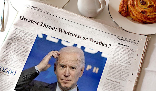 stilton’s place, stilton, political, humor, conservative, cartoons, jokes, hope n’ change, biden, threat, security, climate change, white supremacy, terror, bullshit