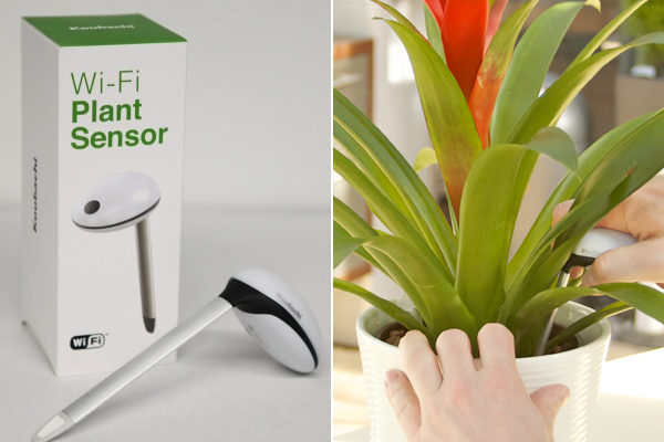 Koubachi Wi-Fi Plant Sensor