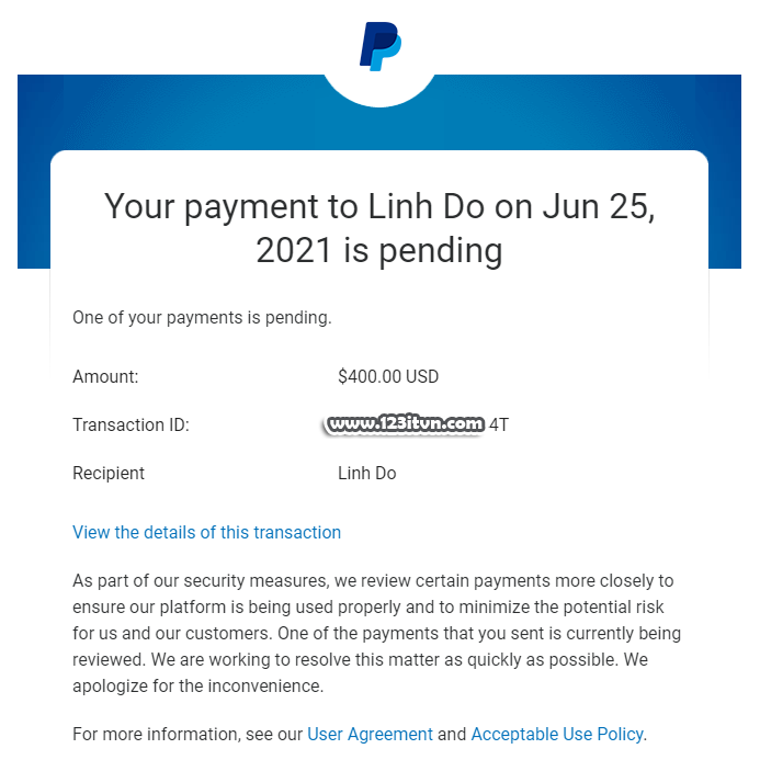 Giao dịch paypal bị tạm giữ và cách xử lý khi on hold