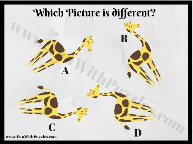 Spot the Different Picture Puzzle