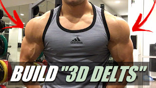 3d Shoulder Top 5 Exercises For Building Shoulderd