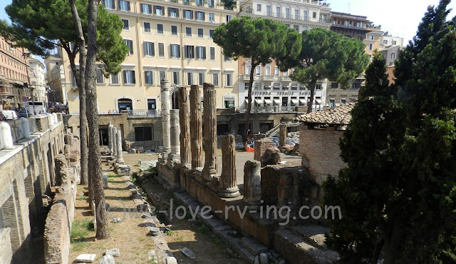 looking down into the ruins of the Largo di Torre Argentina