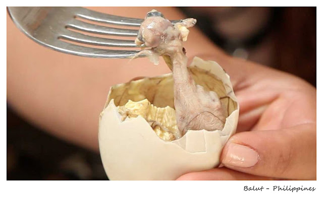 Top 10 Weirdest Food in Asia - Balut - Philippines | Ramble and Wander