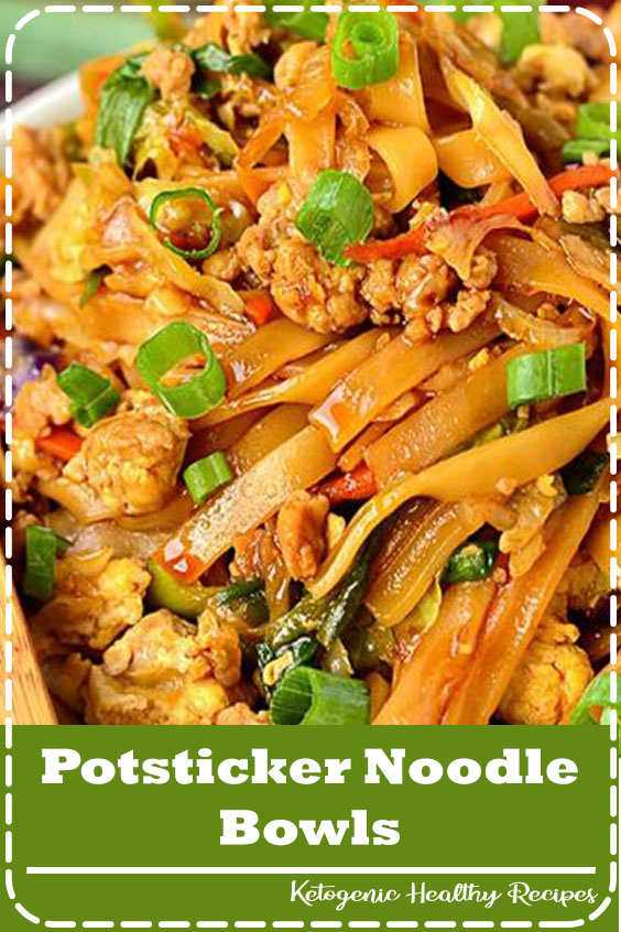Potsticker Noodle Bowls Food Brenda
