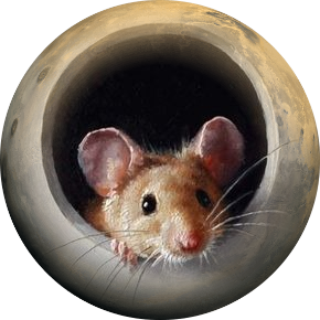 круглый мышонок. мышь круглая сверху. мышь сувенирная. круглая мышь. плюшевый медведь круглый.