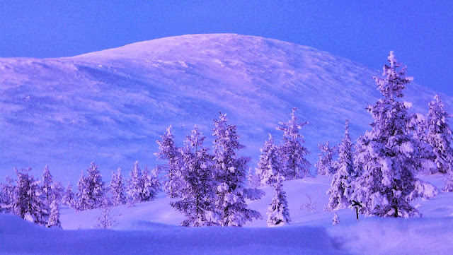 Twilight hours in Lapland. Photo: WikiMedia.org.