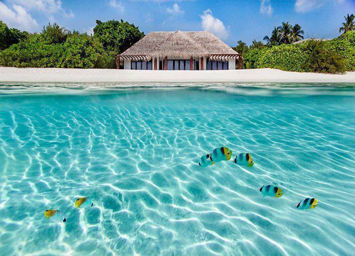 The amazing world Underwater View, Maldives