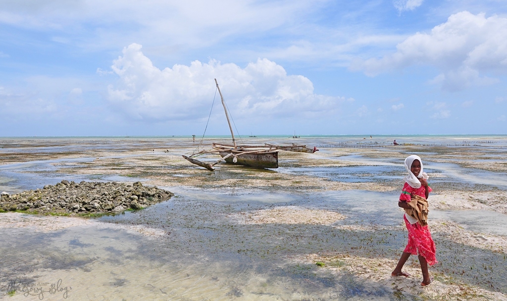 Zanzibar - skrawek raju między Paje i Jambiani.