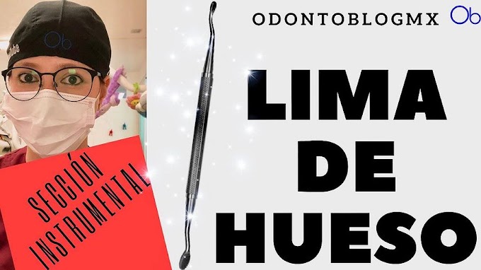 LIMA DE HUESO: ¿Qué es? ¿para qué se usa? ¿cómo se usa?