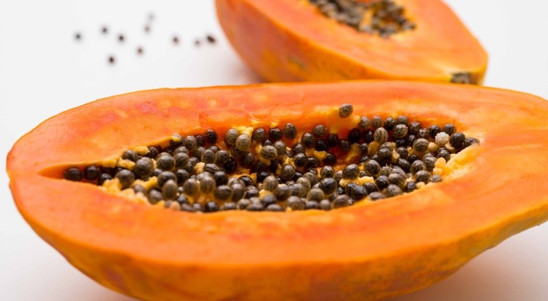 Papaya increase breast milk
