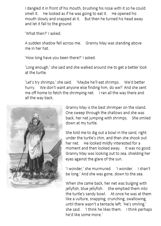 English homework for grade 3 picture