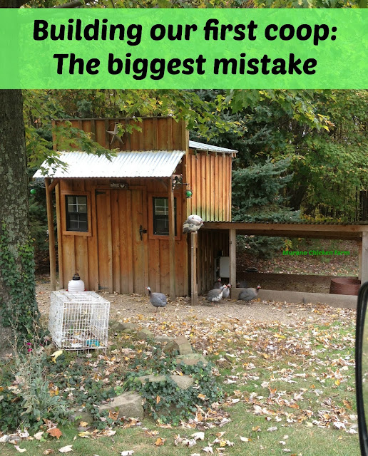 Chicken coop building mistakes