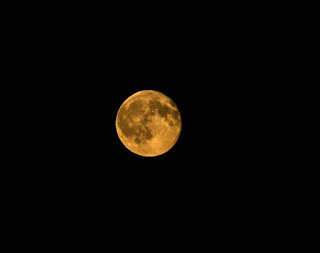 Dans le ciel noir, la lune orangée.