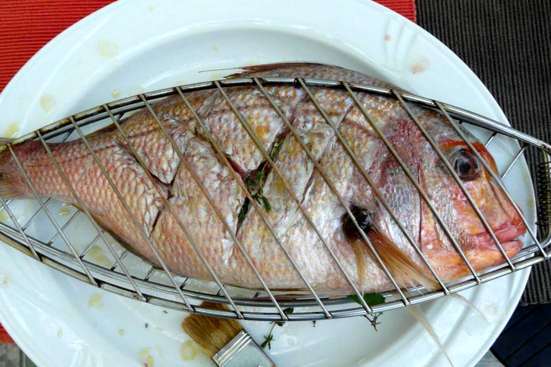 Kulinarische Welten zu Fisch- und Meeresfrucht: Goldbrasse gegrillt