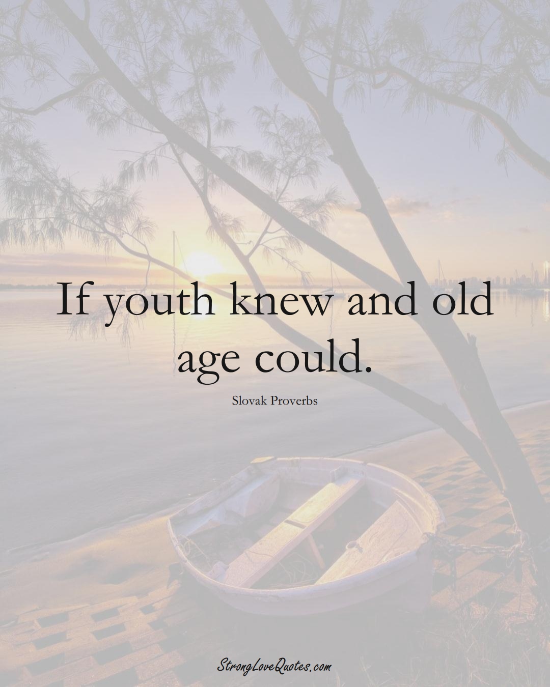 If youth knew and old age could. (Slovak Sayings);  #EuropeanSayings