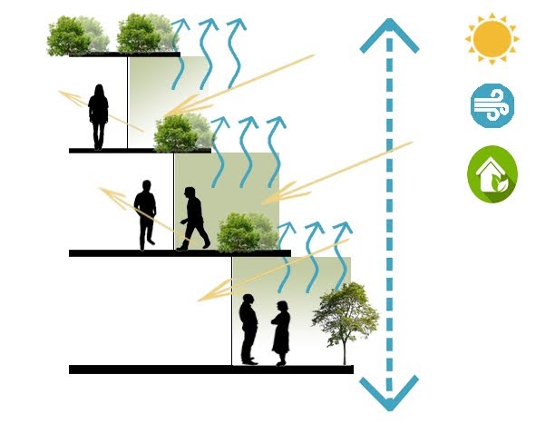 Green Roofs - Diagram