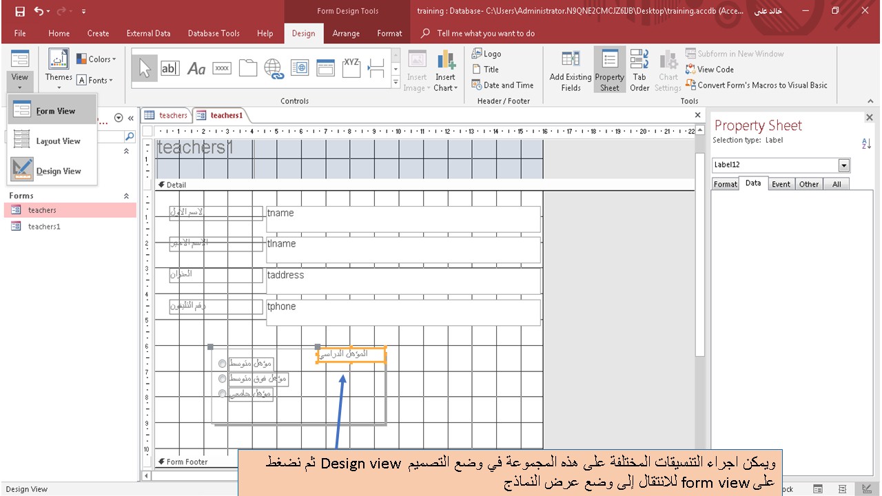 إضافة مجموعة خيارات option group من مجموعة الأدوات controls في برنامج