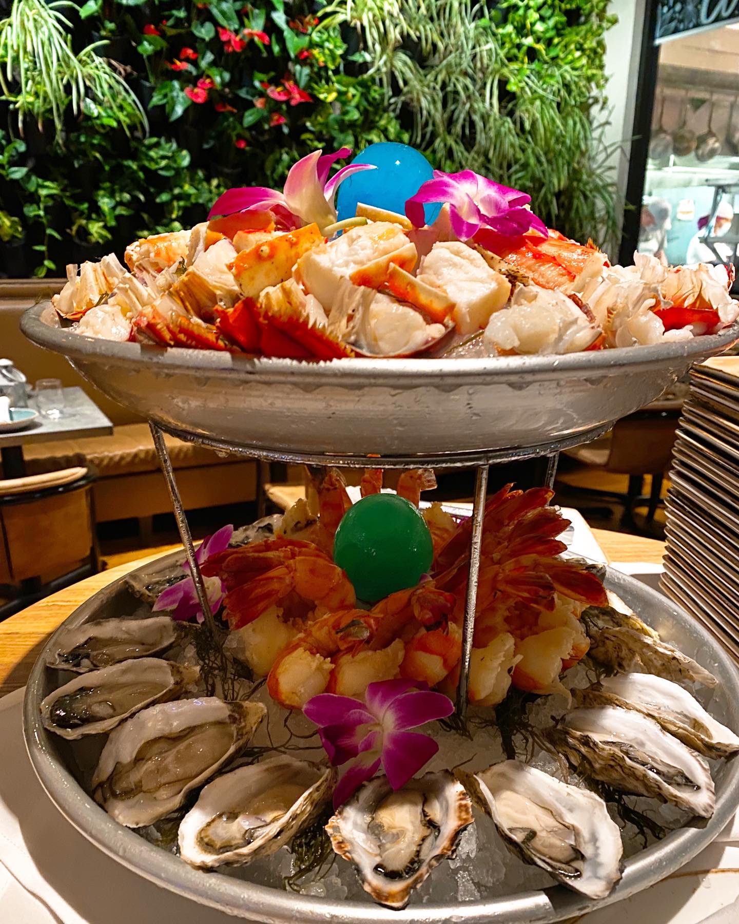 Hawaii Mom Blog Herringbone Waikiki Reopens Wednesday Under Aoki Group