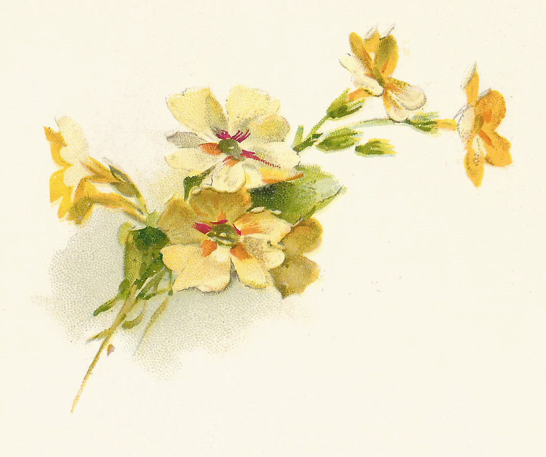 clipart corner flowers - photo #29