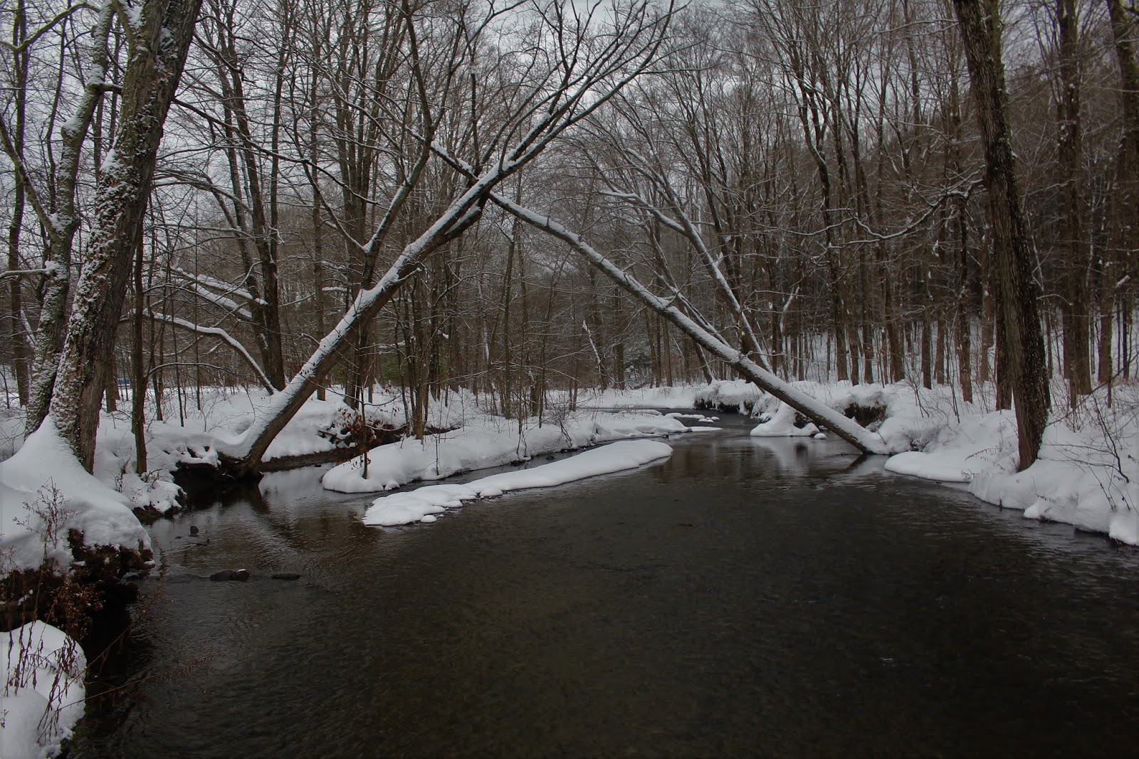 Walking Man 24 7 Schodack Town Park(Schodack, Rensselaer County)