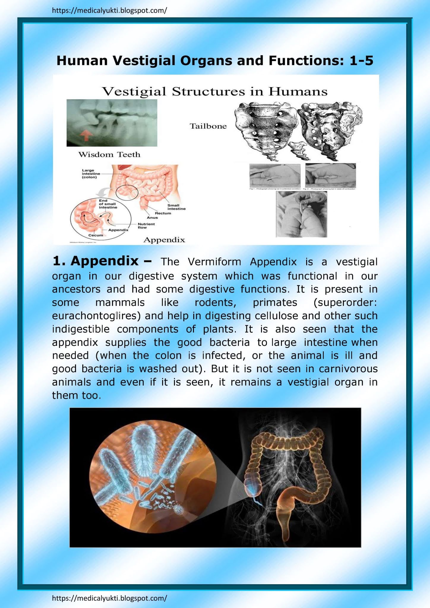Vestigial organs Medical Yukti