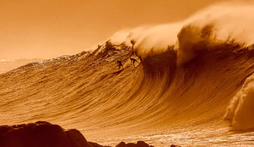 eddie aikau