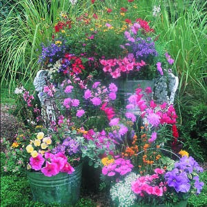 http://www.sunset.com/garden/flowers-plants/plant-country-garden-buckets-00400000016388/