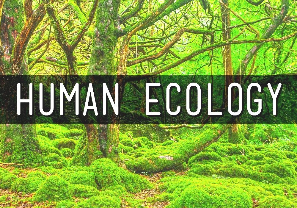 Ecology for environmental science picture