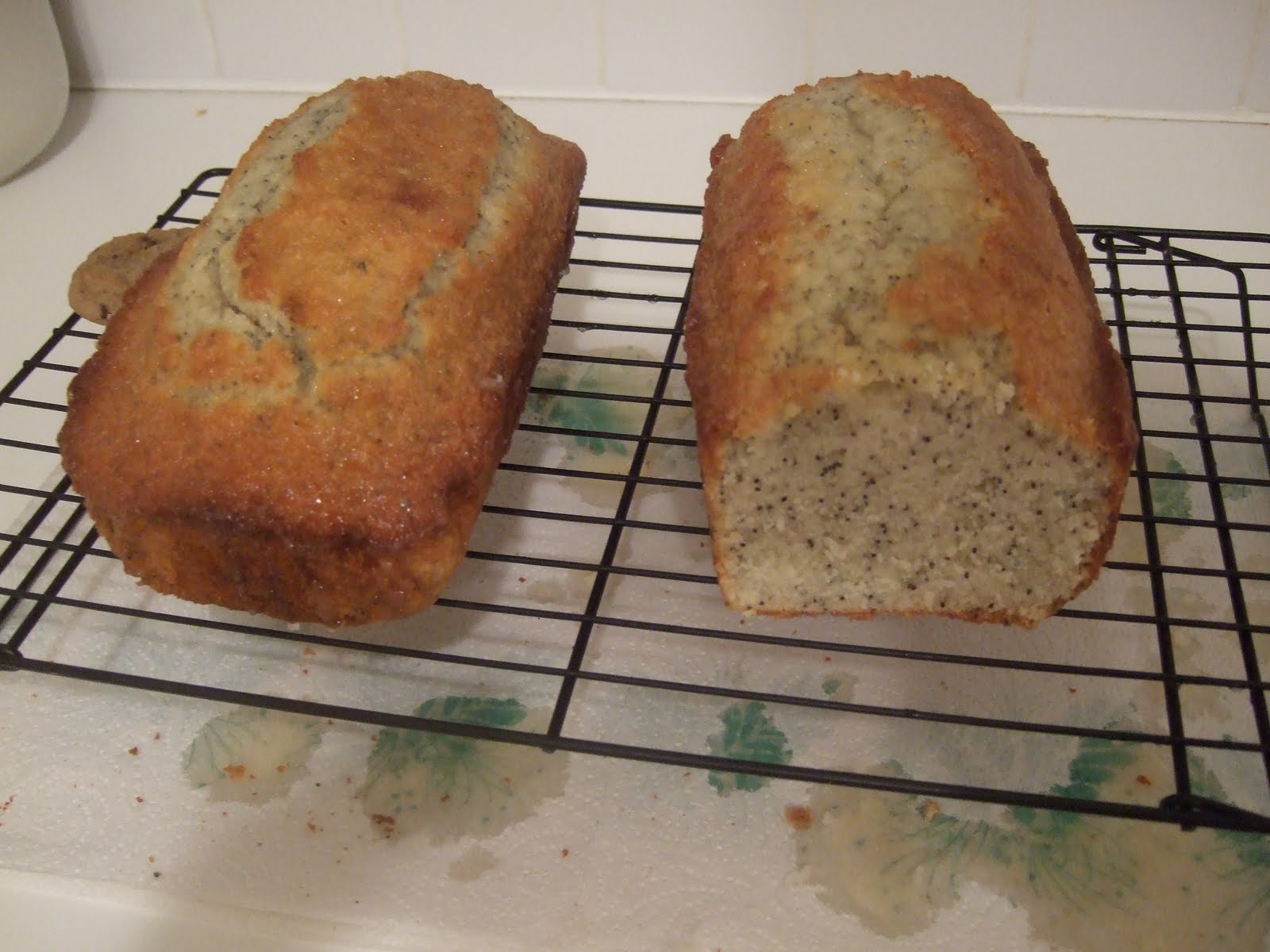 Culinary Curiosity Poppy Seed Bread
